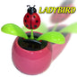 SOLAR POWERED FLIP FLAP TOYS DANCING ORNAMENT FLOWERS LADYBIRD - hanrattycraftsgifts.co.uk