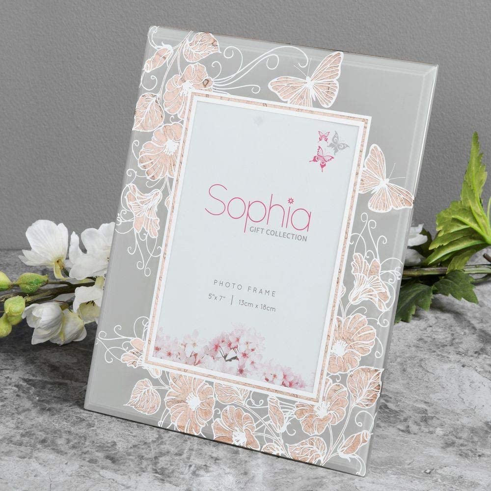 Widdop Sophia Butterfly Picture Frame 152 x 213 cm