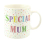 Lesser Pavey Ceramic Polka Dot Special Mum Mug - hanrattycraftsgifts.co.uk