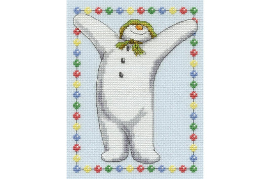DMC Celebration 14 Count Cross Stitch Kit, Multi-Colour - hanrattycraftsgifts.co.uk