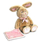 sleepy shore rabbit bink w/blanket - hanrattycraftsgifts.co.uk