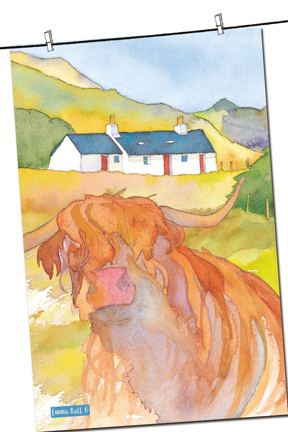 Highland Cow Tea Towel - Emma Ball - hanrattycraftsgifts.co.uk