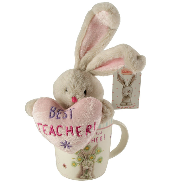 Best Teacher Mug and Soft Bunny Teddy Gift Set - hanrattycraftsgifts.co.uk