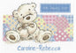 DMC Cross Stitch Kit - Lickle Ted - Patchwork Sampler - hanrattycraftsgifts.co.uk