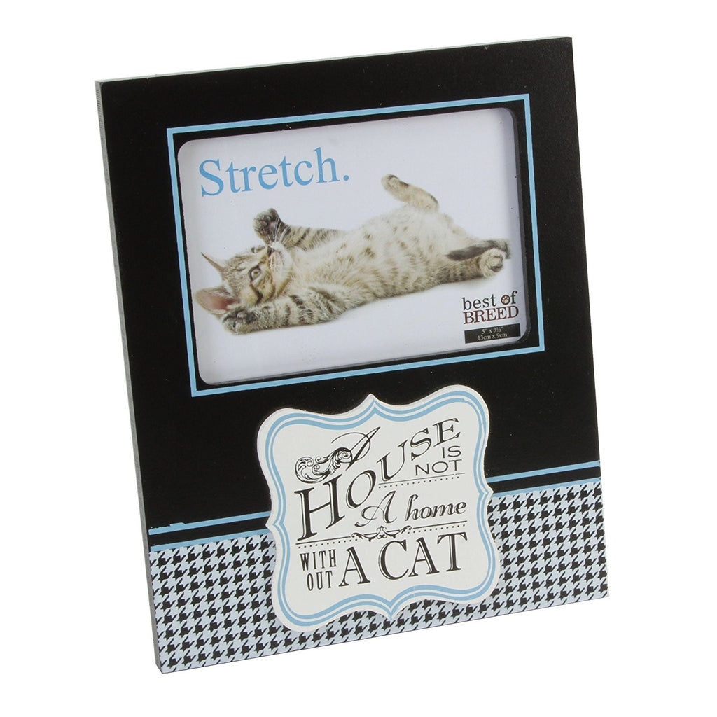 Best of Breeds Cat 4" x 6" Photo Frame - A house is not a home without a cat - hanrattycraftsgifts.co.uk