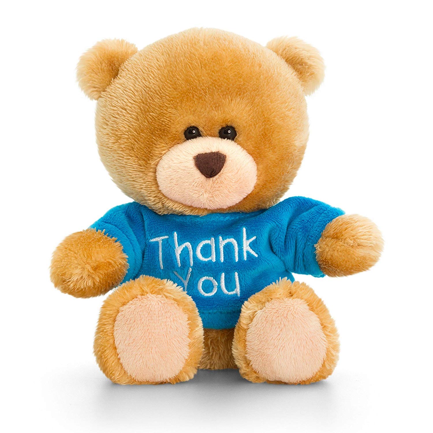 Keel Toys Pipp Plush Bear in Thank You T-Shirt - hanrattycraftsgifts.co.uk