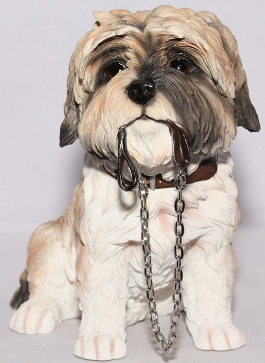 Brown & White Shih Tzu Sitting With Lead In Mouth - Walkies - hanrattycraftsgifts.co.uk